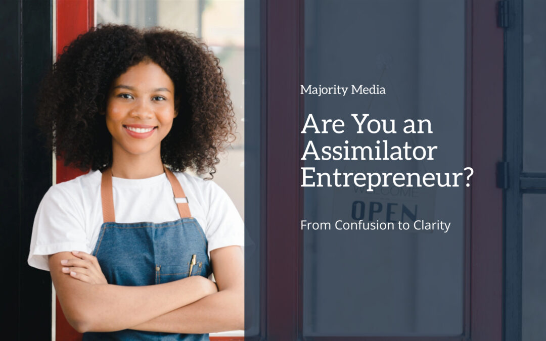 Are You an Assimilator Entrepreneur? Cover Image
