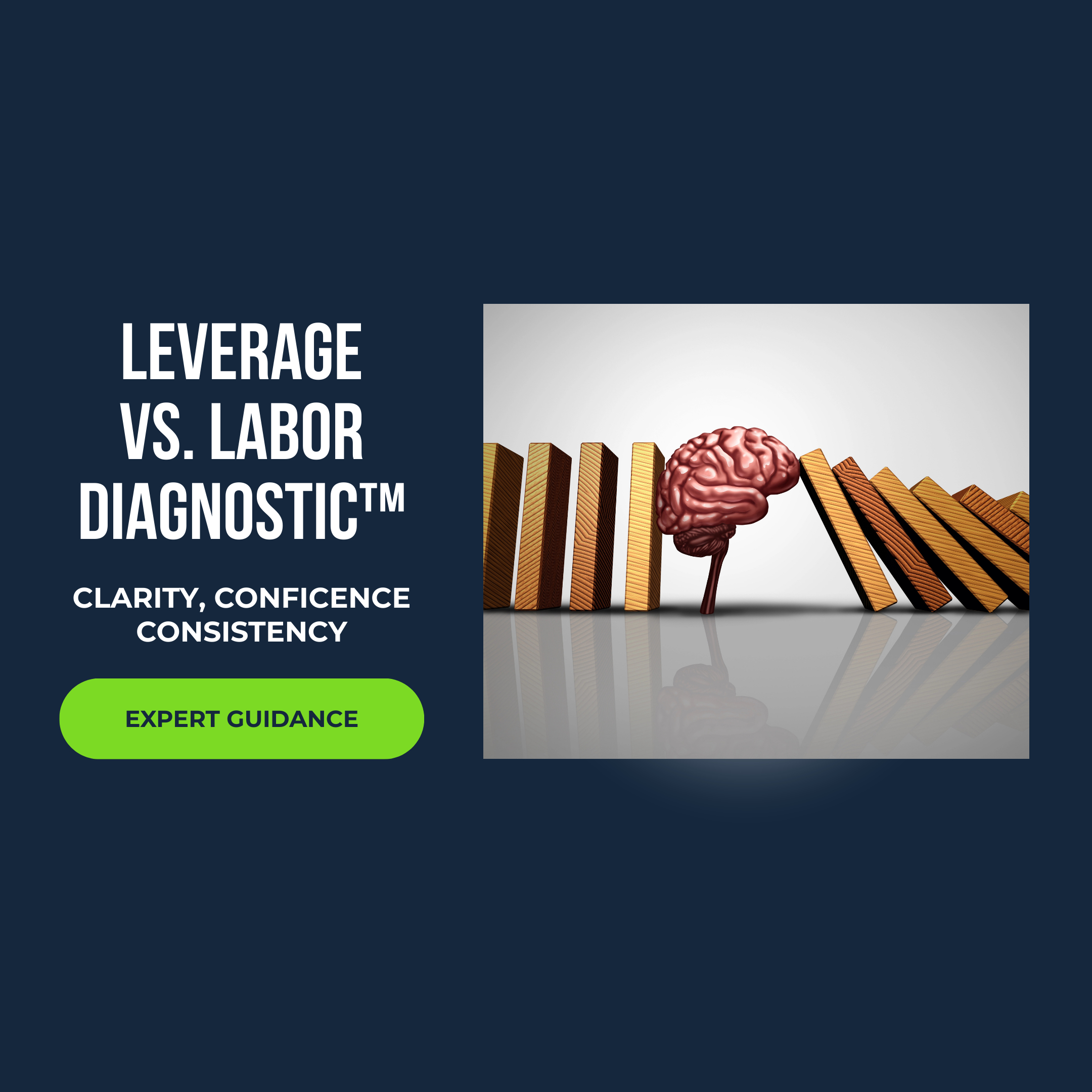 LEVERAGE VS. LABOR DIAGNOSTIC™ Cover Image