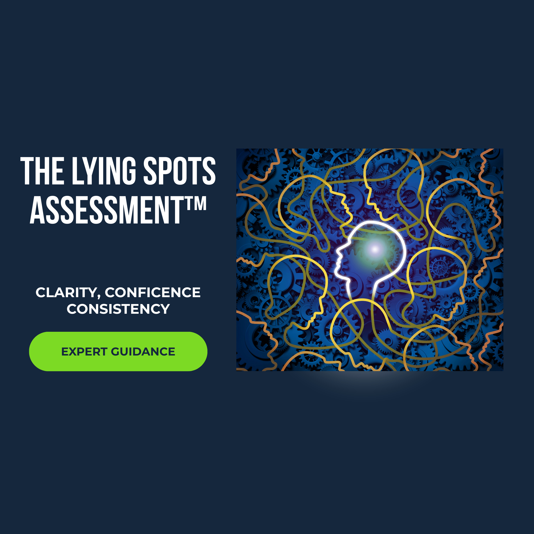 The Lying Spots Audit™ Cover Image